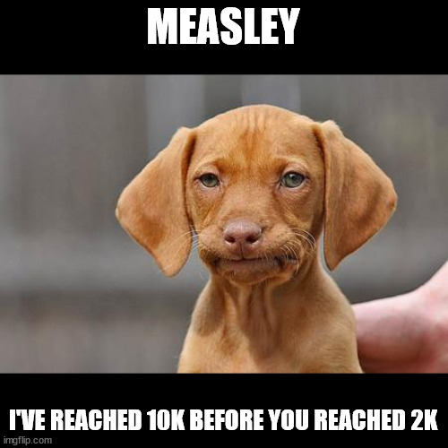 Dissapointed puppy | MEASLEY I'VE REACHED 10K BEFORE YOU REACHED 2K | image tagged in dissapointed puppy | made w/ Imgflip meme maker