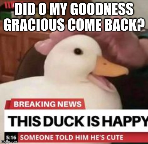 happy duck | DID O MY GOODNESS GRACIOUS COME BACK? | image tagged in happy duck | made w/ Imgflip meme maker
