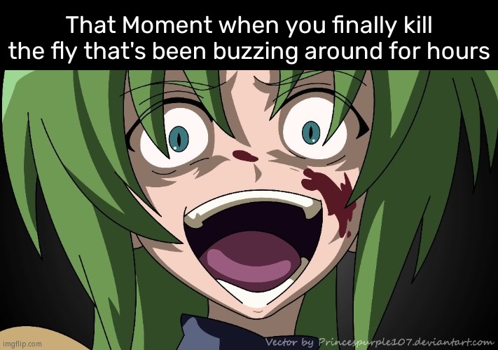 Finally! | That Moment when you finally kill the fly that's been buzzing around for hours | image tagged in shion laugh,memes,funny,that moment when,fly | made w/ Imgflip meme maker