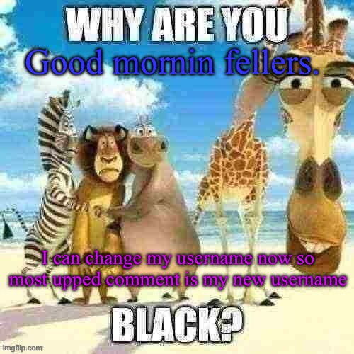 why are you black? | Good mornin fellers. I can change my username now so most upped comment is my new username | image tagged in why are you black | made w/ Imgflip meme maker
