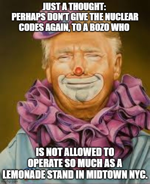Don't Elect Bozos | JUST A THOUGHT: 
PERHAPS DON’T GIVE THE NUCLEAR CODES AGAIN, TO A BOZO WHO; IS NOT ALLOWED TO OPERATE SO MUCH AS A LEMONADE STAND IN MIDTOWN NYC. | image tagged in trump clown,politics,bozo | made w/ Imgflip meme maker