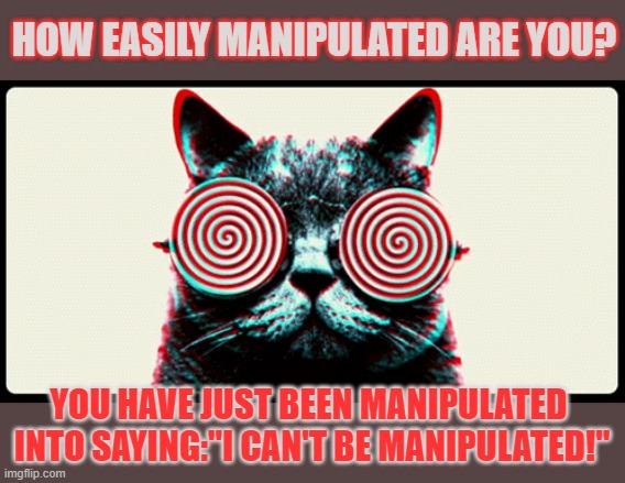 This #lolcat wonders if you can be manipulated | HOW EASILY MANIPULATED ARE YOU? YOU HAVE JUST BEEN MANIPULATED 
INTO SAYING:"I CAN'T BE MANIPULATED!" | image tagged in manipulation,lolcat,hypnosis,marketing,politics | made w/ Imgflip meme maker