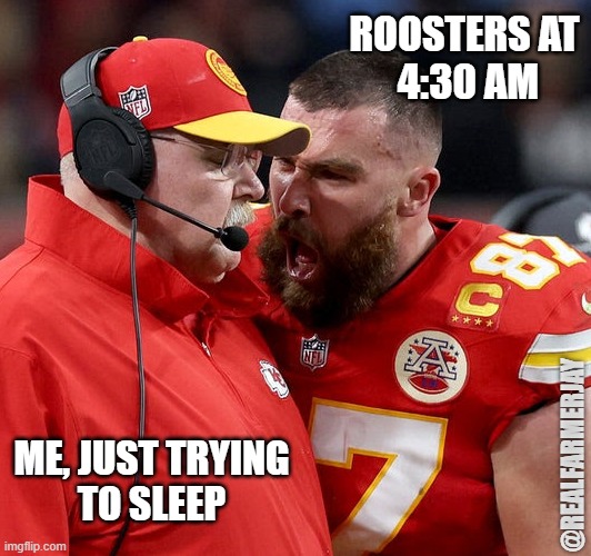 Roosters at 4:30 AM When I'm Trying to Sleep | ROOSTERS AT 
4:30 AM; ME, JUST TRYING
TO SLEEP; @REALFARMERJAY | image tagged in travis kelce screaming | made w/ Imgflip meme maker