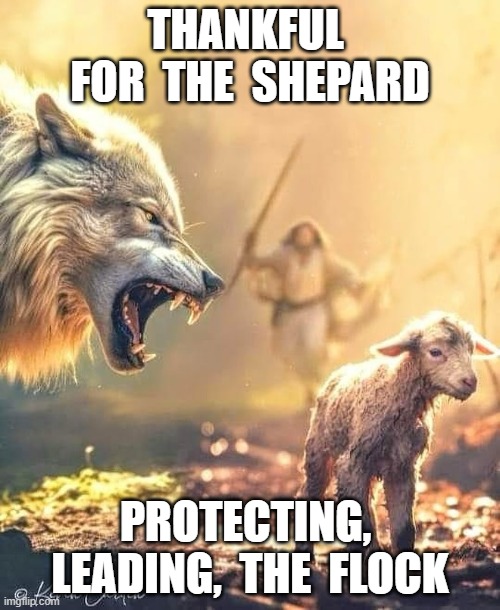 THANKFUL FOR THE SHEPARD PROTECTING, LEADING, THE FLOCK | THANKFUL  FOR  THE  SHEPARD; PROTECTING,  LEADING,  THE  FLOCK | image tagged in lamb | made w/ Imgflip meme maker