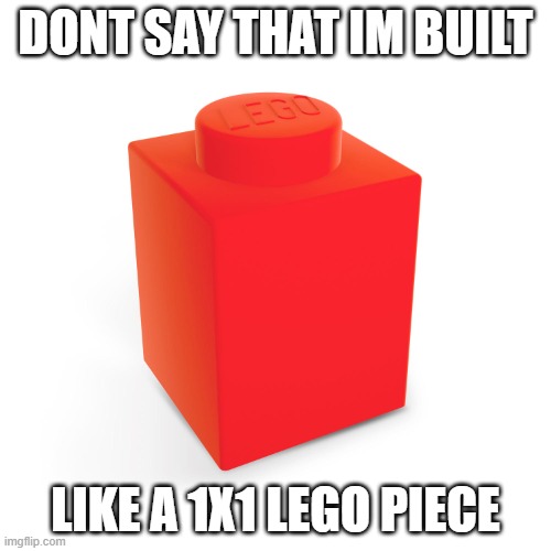 1x1 lego piece | DONT SAY THAT IM BUILT; LIKE A 1X1 LEGO PIECE | image tagged in 1x1 lego piece | made w/ Imgflip meme maker