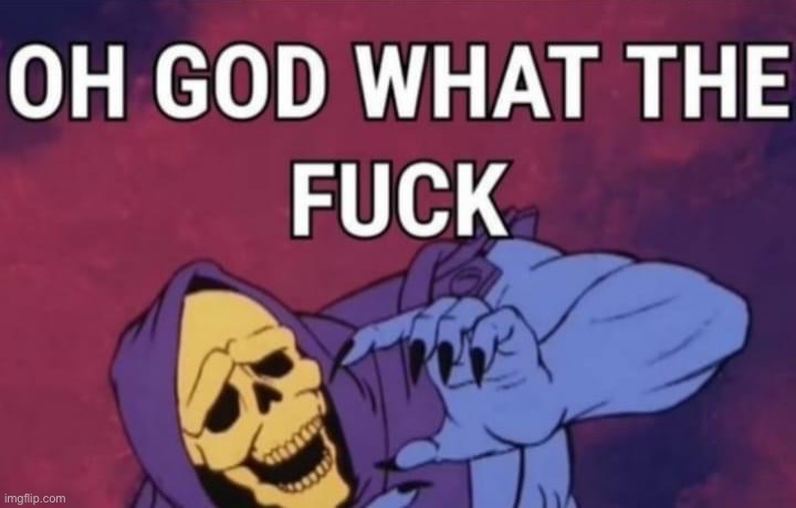 Skeletor oh god what the fuck | image tagged in skeletor oh god what the fuck | made w/ Imgflip meme maker