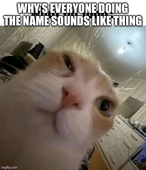 What da tuna? | WHY’S EVERYONE DOING THE NAME SOUNDS LIKE THING | image tagged in what da tuna | made w/ Imgflip meme maker
