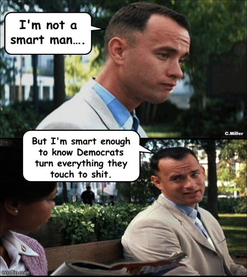 Speaking truth and pointing out the obvious is hate speech now thanks to Democrats & their herd of useful idiots | image tagged in democrats,forrest gump,politics,government corruption,truth is hate speech | made w/ Imgflip meme maker
