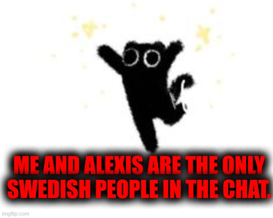 ME AND ALEXIS ARE THE ONLY SWEDISH PEOPLE IN THE CHAT. | made w/ Imgflip meme maker