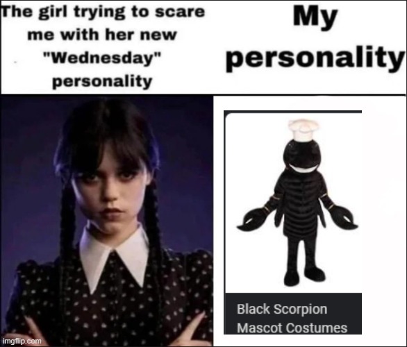 The girl trying to scare me with her new Wednesday personality | image tagged in the girl trying to scare me with her new wednesday personality | made w/ Imgflip meme maker