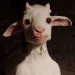 High Quality goat pfp Blank Meme Template