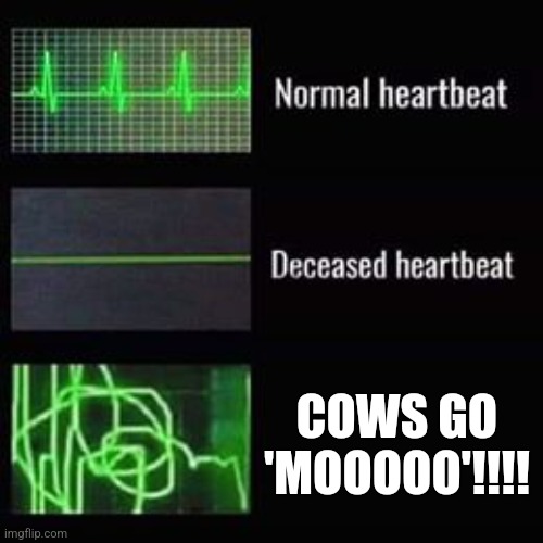 Cows go 'mooooo' | COWS GO 'MOOOOO'!!!! | image tagged in heartbeat rate,animals,jpfan102504 | made w/ Imgflip meme maker