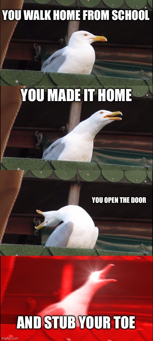 I’m ho-AAAAAAHHHHHHHHH | YOU WALK HOME FROM SCHOOL; YOU MADE IT HOME; YOU OPEN THE DOOR; AND STUB YOUR TOE | image tagged in memes,inhaling seagull | made w/ Imgflip meme maker