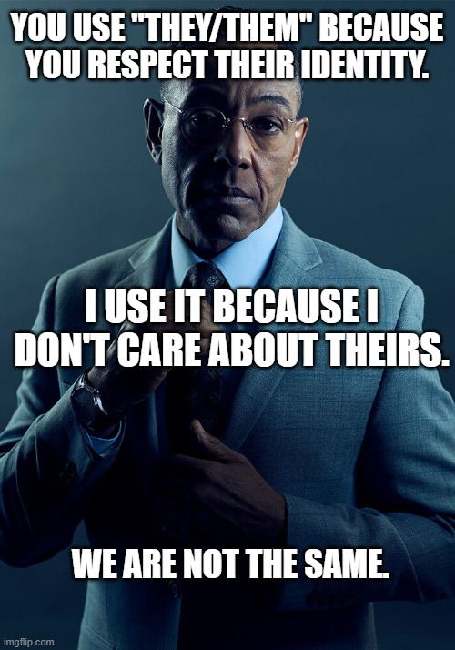 We all pretend to be who we think we are | YOU USE "THEY/THEM" BECAUSE YOU RESPECT THEIR IDENTITY. I USE IT BECAUSE I DON'T CARE ABOUT THEIRS. WE ARE NOT THE SAME. | image tagged in gus fring we are not the same | made w/ Imgflip meme maker