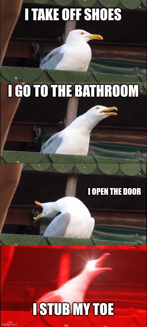 Inhaling Seagull | I TAKE OFF SHOES; I GO TO THE BATHROOM; I OPEN THE DOOR; I STUB MY TOE | image tagged in memes,inhaling seagull | made w/ Imgflip meme maker