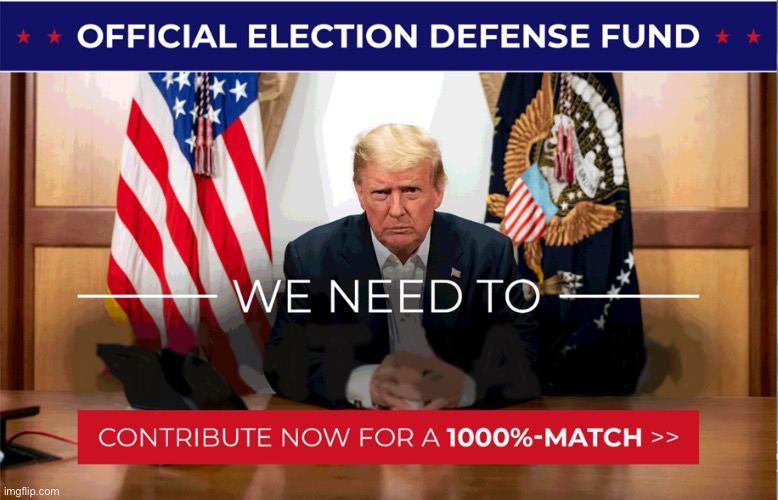 Official Election Defense Fund | image tagged in official election defense fund | made w/ Imgflip meme maker