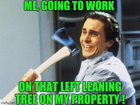 It Is Going To Fall | ME, GOING TO WORK; ON THAT LEFT LEANING TREE ON MY PROPERTY ! | image tagged in american psycho | made w/ Imgflip meme maker