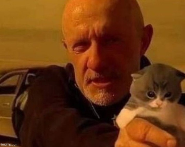 Mike offers you a kitty | made w/ Imgflip meme maker