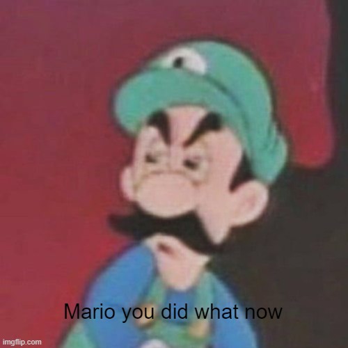 Luigi when Mario destroyed their house | Mario you did what now | image tagged in angry italian plumer | made w/ Imgflip meme maker