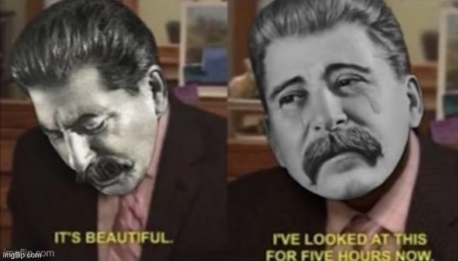 Stalin it’s beautiful I’ve looked at this for five hours now | image tagged in stalin it s beautiful i ve looked at this for five hours now | made w/ Imgflip meme maker
