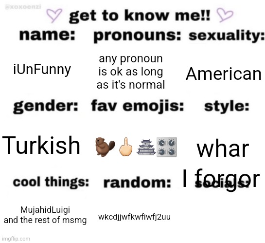 get to know me but better | iUnFunny; any pronoun is ok as long as it's normal; American; 🦫🖕🏻🏯🎛; whar; Turkish; I forgor; wkcdjjwfkwfiwfj2uu; MujahidLuigi and the rest of msmg | image tagged in get to know me but better | made w/ Imgflip meme maker