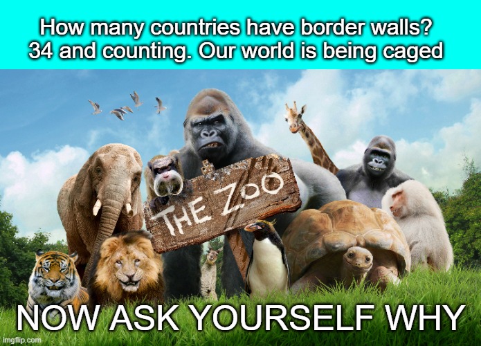 free | NOW ASK YOURSELF WHY | image tagged in zoo,cage | made w/ Imgflip meme maker