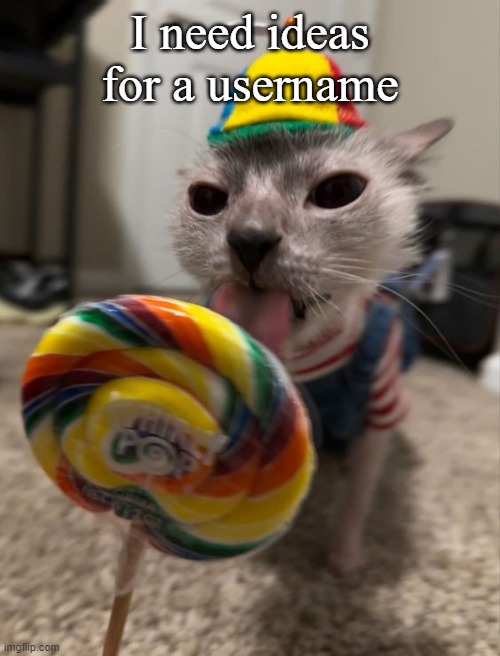 silly goober | I need ideas for a username | image tagged in silly goober | made w/ Imgflip meme maker