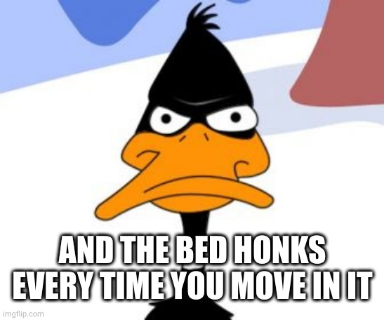 Daffy Duck not amused | AND THE BED HONKS EVERY TIME YOU MOVE IN IT | image tagged in daffy duck not amused | made w/ Imgflip meme maker