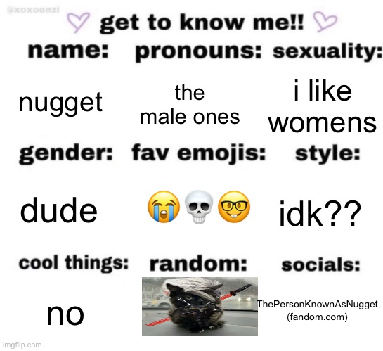 get to know me but better | nugget; the male ones; i like womens; idk?? dude; 😭💀🤓; ThePersonKnownAsNugget (fandom.com); no | image tagged in get to know me but better | made w/ Imgflip meme maker