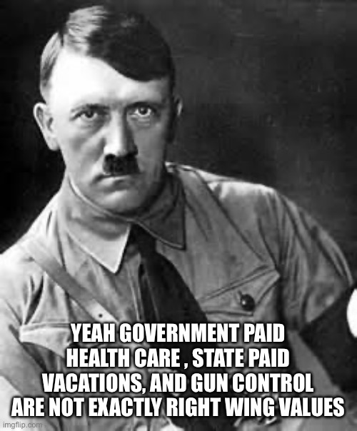 Adolf Hitler | YEAH GOVERNMENT PAID HEALTH CARE , STATE PAID VACATIONS, AND GUN CONTROL ARE NOT EXACTLY RIGHT WING VALUES | image tagged in adolf hitler | made w/ Imgflip meme maker