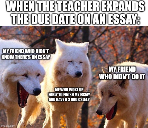 All of my time wasted just to realize that | WHEN THE TEACHER EXPANDS THE DUE DATE ON AN ESSAY:; MY FRIEND WHO DIDN’T KNOW THERE’S AN ESSAY; MY FRIEND WHO DIDN’T DO IT; ME WHO WOKE UP EARLY TO FINISH MY ESSAY AND HAVE A 3 HOUR SLEEP | image tagged in 2/3 wolves laugh,school,relatable | made w/ Imgflip meme maker