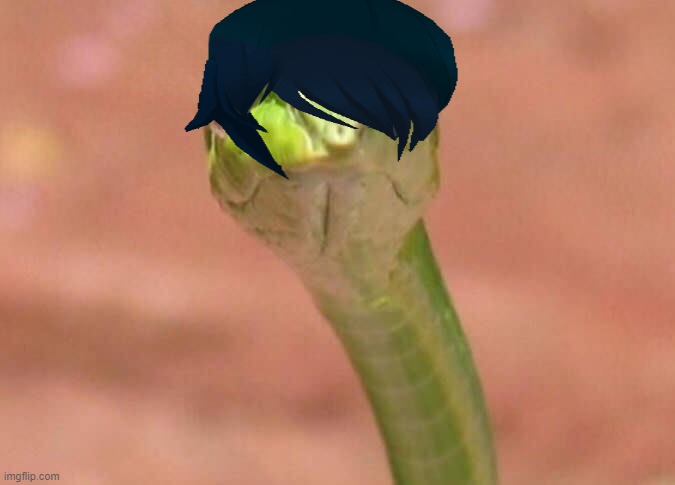 Skeptical snake | image tagged in skeptical snake | made w/ Imgflip meme maker