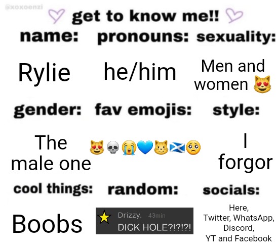 get to know me but better | he/him; Rylie; Men and women 😻; 😻💀😭💙😼🏴󠁧󠁢󠁳󠁣󠁴󠁿🥺; I forgor; The male one; Here, Twitter, WhatsApp, Discord, YT and Facebook; Boobs | image tagged in get to know me but better | made w/ Imgflip meme maker