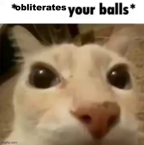 X your balls | obliterates | image tagged in x your balls | made w/ Imgflip meme maker