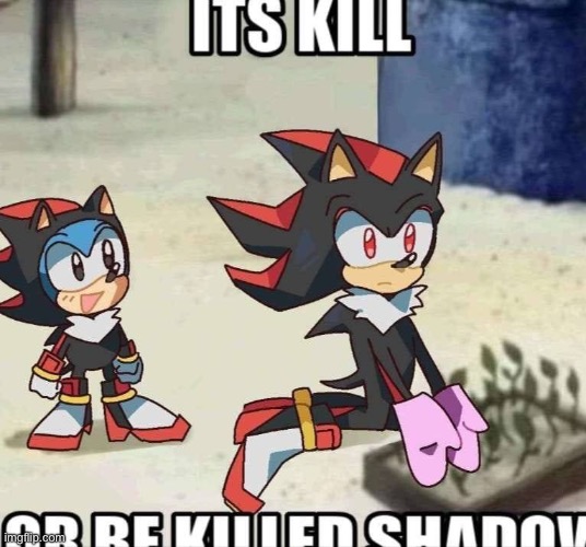 image tagged in shadow the hedgehog,sonic the hedgehog | made w/ Imgflip meme maker