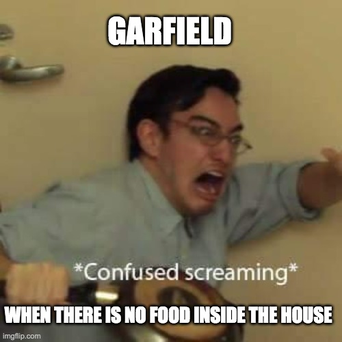 filthy frank confused scream | GARFIELD; WHEN THERE IS NO FOOD INSIDE THE HOUSE | image tagged in filthy frank confused scream | made w/ Imgflip meme maker