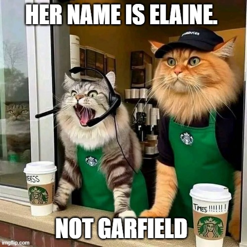Cat Latte | HER NAME IS ELAINE. NOT GARFIELD | image tagged in cats,cat,starbucks barista,starbucks,funny memes,funny cat memes | made w/ Imgflip meme maker