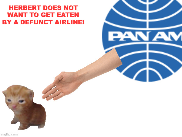 oh no! | HERBERT DOES NOT WANT TO GET EATEN BY A DEFUNCT AIRLINE! | image tagged in funny | made w/ Imgflip meme maker