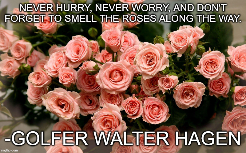 Never hurry, never worry | NEVER HURRY, NEVER WORRY, AND DON'T FORGET TO SMELL THE ROSES ALONG THE WAY. -GOLFER WALTER HAGEN | image tagged in golf | made w/ Imgflip meme maker