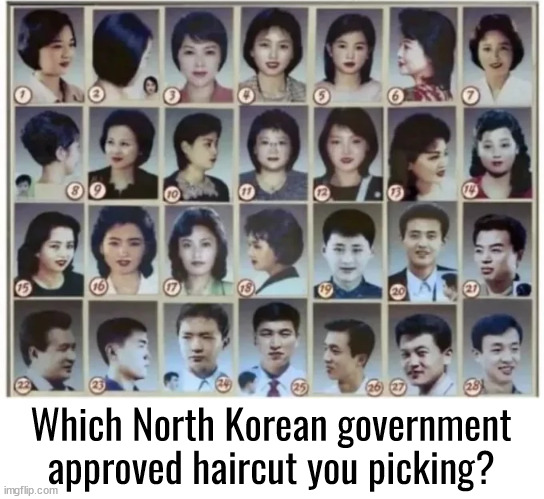 Which North Korean government approved haircut you picking? | made w/ Imgflip meme maker