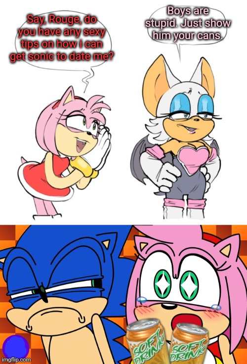 Sonic the hedgehog dating tips | Boys are stupid. Just show him your cans. Say, Rouge, do you have any sexy tips on how i can get sonic to date me? | image tagged in dating,tips,stop it get some help,amy rose,rouge | made w/ Imgflip meme maker