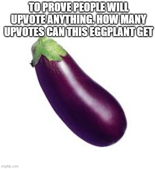 TO PROVE PEOPLE WILL UPVOTE ANYTHING. HOW MANY UPVOTES CAN THIS EGGPLANT GET | image tagged in blank white template | made w/ Imgflip meme maker