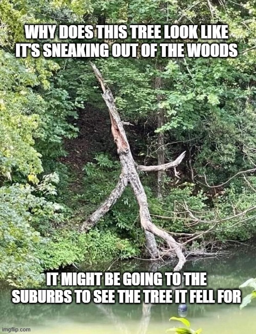 IT MIGHT BE GOING TO THE SUBURBS TO SEE THE TREE IT FELL FOR | made w/ Imgflip meme maker