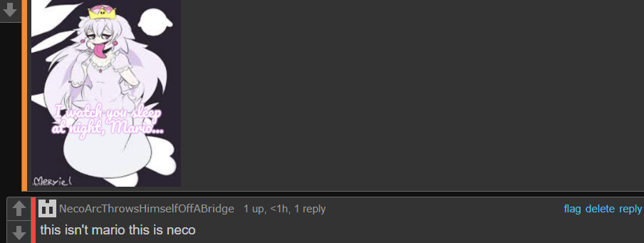 this isn't mario this is neco Blank Meme Template