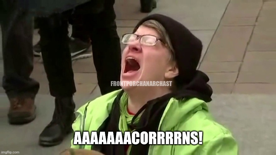 Acorn | FRONTPORCHANARCHAST; AAAAAAACORRRRNS! | image tagged in woman screaming,police | made w/ Imgflip meme maker