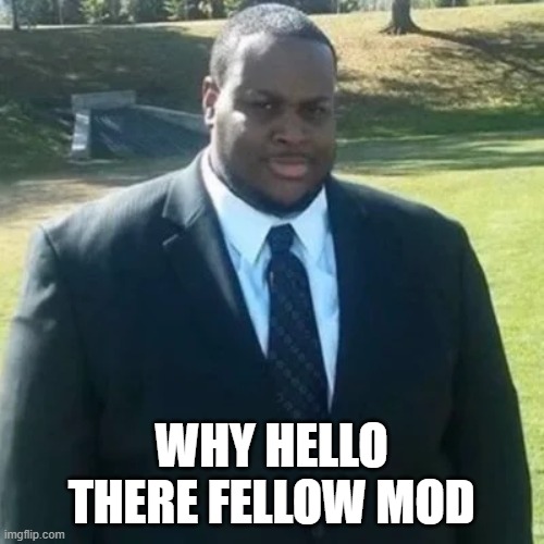 edp445 in a suit | WHY HELLO THERE FELLOW MOD | image tagged in edp445 in a suit | made w/ Imgflip meme maker