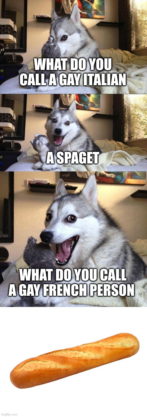 WHAT DO YOU CALL A GAY ITALIAN; A SPAGET; WHAT DO YOU CALL A GAY FRENCH PERSON | image tagged in memes,bad pun dog,baguette | made w/ Imgflip meme maker