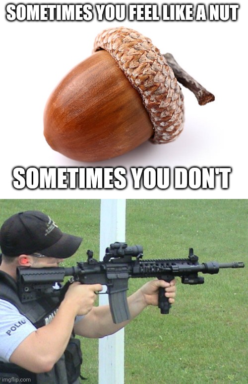 Acorn | SOMETIMES YOU FEEL LIKE A NUT; SOMETIMES YOU DON'T | image tagged in police | made w/ Imgflip meme maker