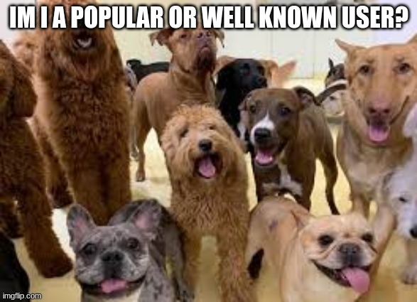dog army | IM I A POPULAR OR WELL KNOWN USER? | image tagged in dog army | made w/ Imgflip meme maker