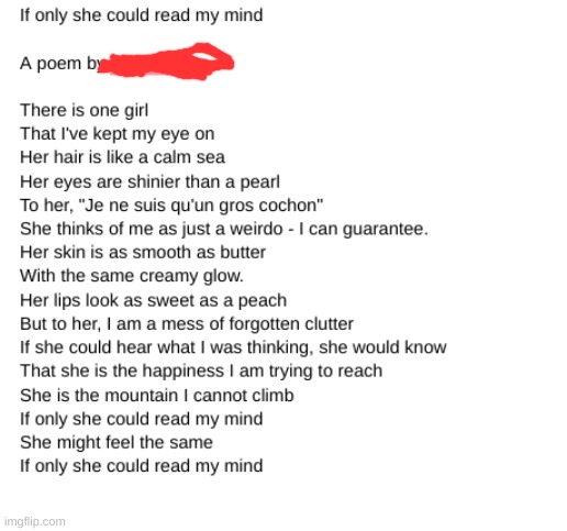 this is a screenshot of the poem I gave to my crush.. she didnt like it.. what am i doing wrong | made w/ Imgflip meme maker